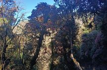 Ghorepani Poon Hill Trek: 12-Day Journey in Annapurna