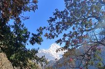 Ghorepani Poon Hill Trek: 12-Day Journey in Annapurna