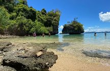 Hong Island Speed Boat Tour From Krabi