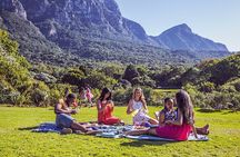 Kirstenbosch Botanical Gardens Guided Tour with Picnic Lunch 