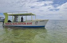 Half Day Creek Safari and Snorkeling Adventure in Mombasa