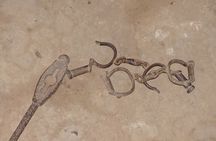 Overnight Georgetown Safari with Local Experiences