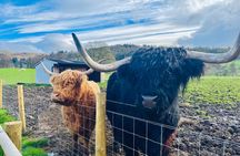 From Glasgow: Loch Ness and The Highlands Day Trip