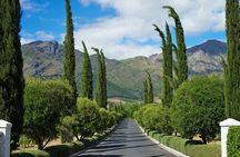 Franschhoek and Stellenbosch Wine Tour with Tastings and Lunch