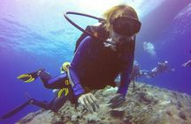 Daymaniyat Islands Snorkeling Tour