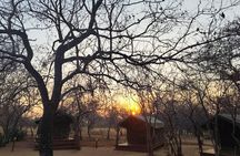 4 Day Kruger Glamping Safari and Panorama Tour