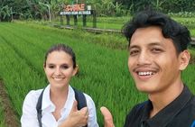 Jakarta Bogor Botanical Garden, Ricefield, Waterfall Shared Tour
