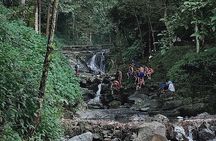 Jakarta Bogor Botanical Garden, Ricefield, Waterfall Shared Tour