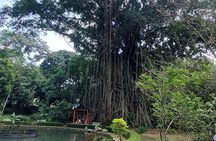 Jakarta Bogor Botanical Garden, Ricefield, Waterfall Shared Tour