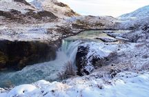 Torres del Paine Tour + Milodon Cave + Box Lunch