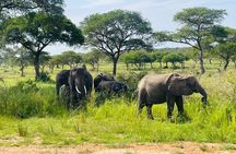 2-Day Murchison Falls and Zziwa Sanctuary Safari Tour