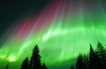 Northern Lights Hunt & Photography Experience