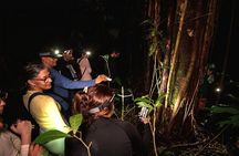 Leticia Safari 2 Days and 1 Night of Jungle and River in Floating House