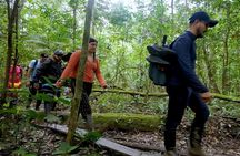 Leticia Safari 2 Days and 1 Night of Jungle and River in Floating House