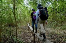 Leticia Safari 2 Days and 1 Night of Jungle and River in Floating House
