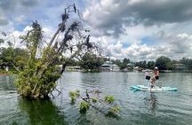 Water Bike Rental in Crystal River