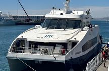 Robben Island Museum Pre booked Ticket Tour