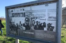 Robben Island Museum Pre booked Ticket Tour