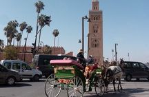 Marrakech 1 hour Horse Carriage Rides