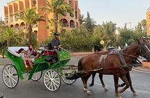 Marrakech 1 hour Horse Carriage Rides