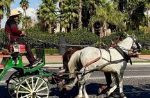 Marrakech 1 hour Horse Carriage Rides