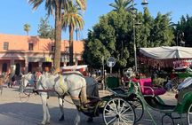 Marrakech 1 hour Horse Carriage Rides