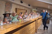 Immersive Experience & Tequila Tasting in Puerto Vallarta