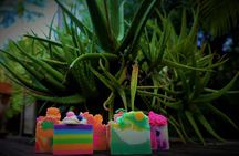 Soap Making Classes with Bubble Shack Hawaii