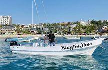 Private Tour of the Beaches of Puerto Escondido in Lancha