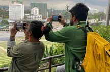 Addis Ababa Stopover & Layover Tour – Private, Fast & Flexible!