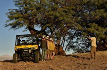 San Pedro de Atacama Buggy Adventure