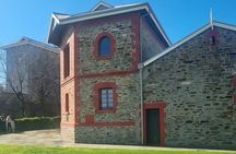 Penfolds and Hahndorf Shared Tour Wine Tasting and Lunch