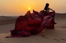 Dubai Desert Safari Adventure 