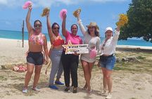 St. John's,Antigua Horse Back Riding & bareback swim & Fort beach