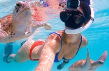 Snorkeling Adventure at Daymaniyat Islands Sharing Half Day