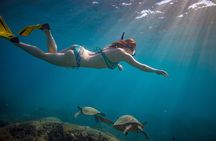 Snorkeling Adventure at Daymaniyat Islands Sharing Half Day