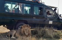 4 Day 4WD Private Masai Mara Safari with Lodge Luxury with Jeep