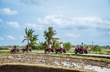 Ubud ATV Quad Bike with Infinity Pool Access All Inclusive