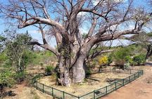 Victoria falls Private guided tour Old age