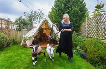 Pygmy Goat Walk