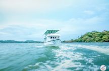 Whale Watching Mirissa in Sri Lanka with Pickup and Breakfast