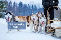 Experience 5-km Husky Safari from Levi