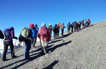 7-Day Machame Route Hiking Kilimanjaro Mountain