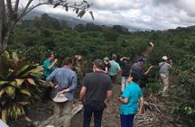Early Volcano Poás Tour