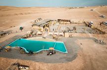 Agfay Desert Delicous Dinner and Camel Ride with Show