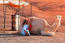 Agfay Desert Delicous Dinner and Camel Ride with Show