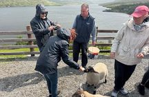 Private Day Tour Cliffs of Moher & The Burren Experience