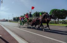 Carriage Rides Through Marrakech