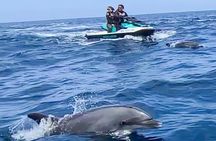 Guided Jet Ski Adventure in Two Harbors Catalina Island