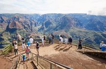 Kauai Full Day Tour with Cruise ships or Kauai Airport Pickup 